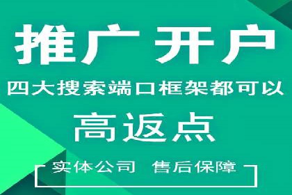 竞价排名关键词优化实战案例分析